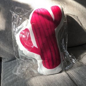 Cactus pillow🌵